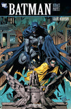 Batman - Renace (Historia Completa)