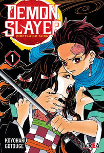 Demon Slayer - Kimetsu No Yaiba # 01